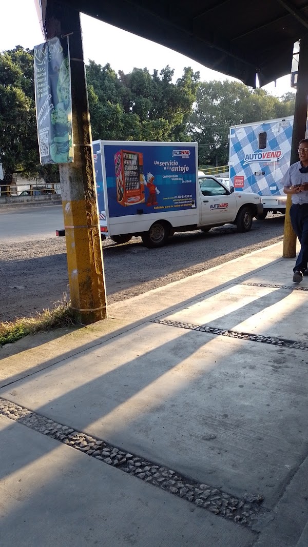 Ferreplomeria Buena Vista