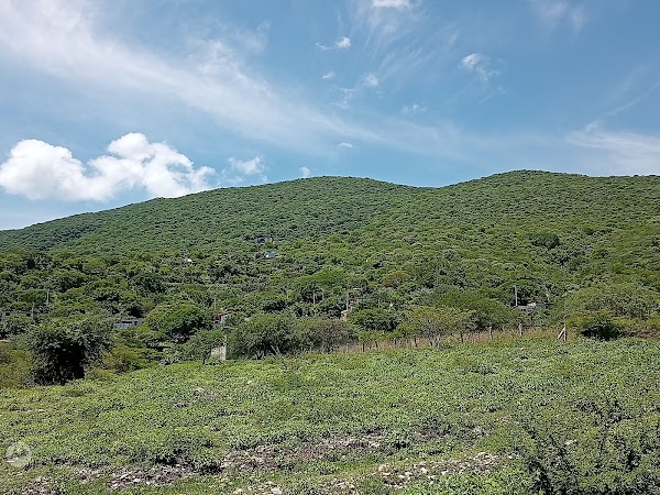 Ferretería Y Eléctrica "El Farol"