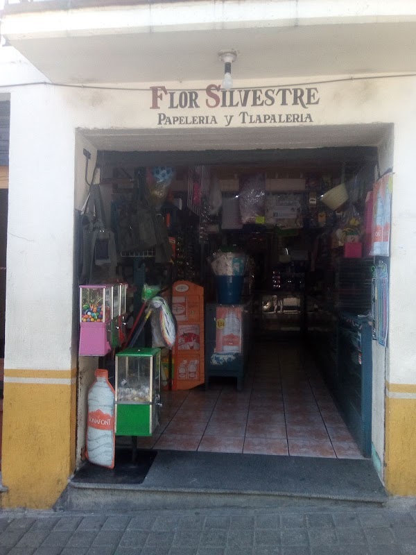 Papelería y Tlapalería Flor Silvestre