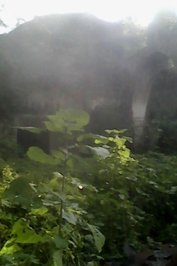 FERRETERIA EL CASTOR